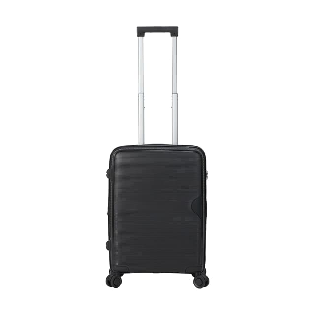 Rigid expandable carousel luggage